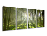 4-delna stenska slika TREES ST021E41